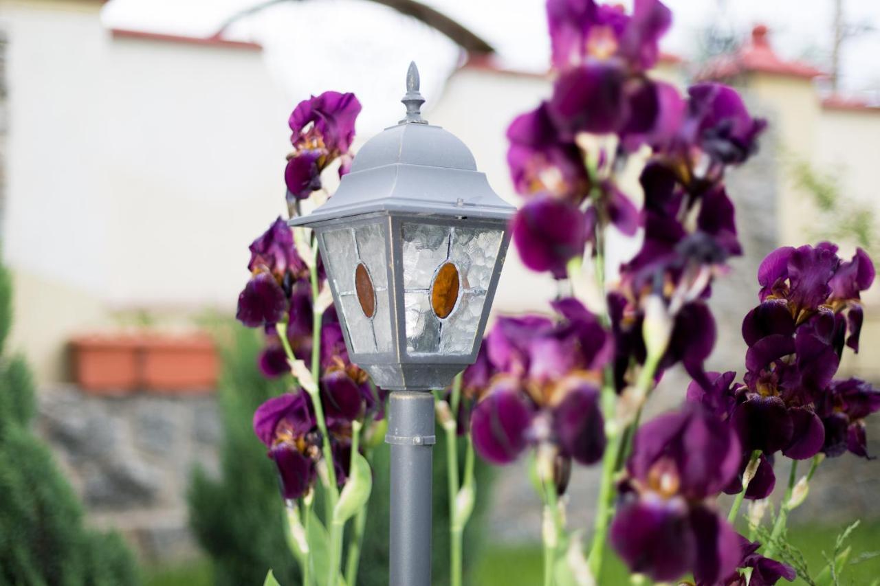 Villa Oselya Kiev Ngoại thất bức ảnh