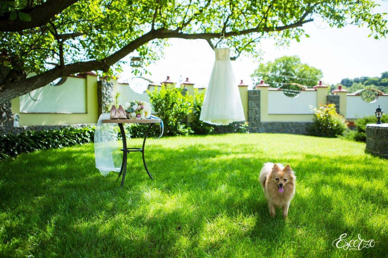 Villa Oselya Kiev Ngoại thất bức ảnh